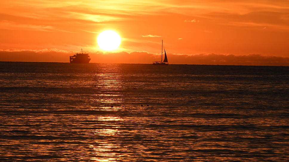 Фото: Ирина Бужор / Коммерсантъ