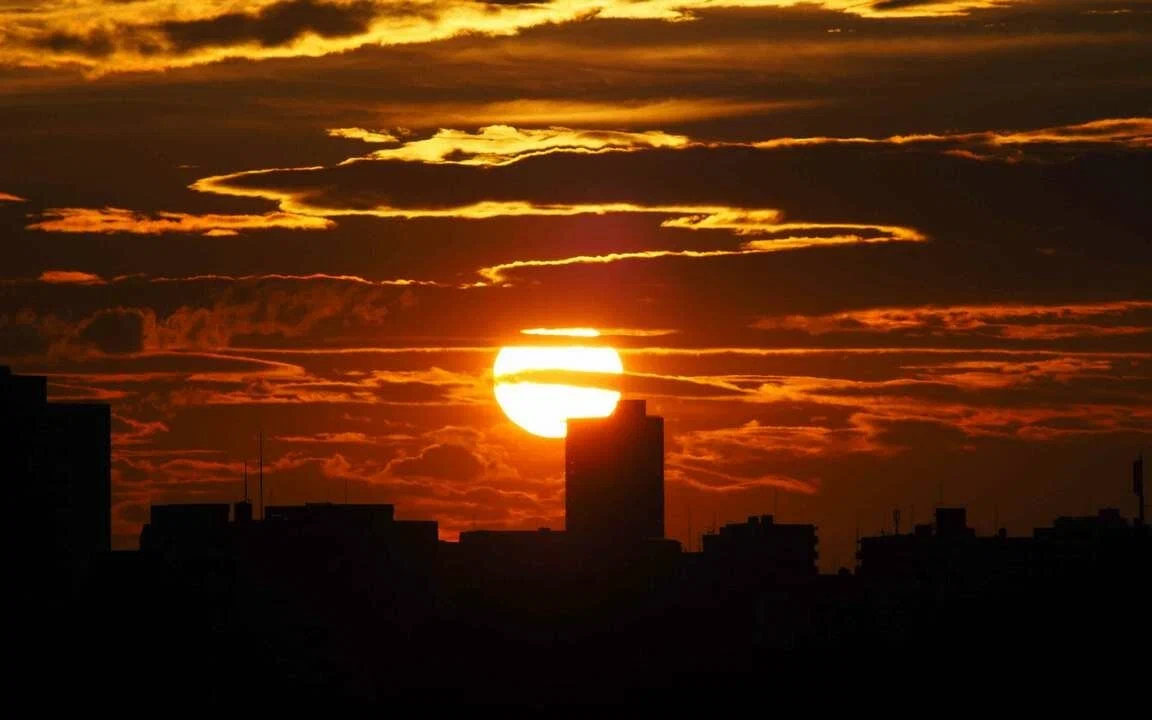 Фото Яндекс картинки.