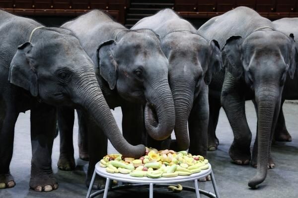    РИА «Новости»