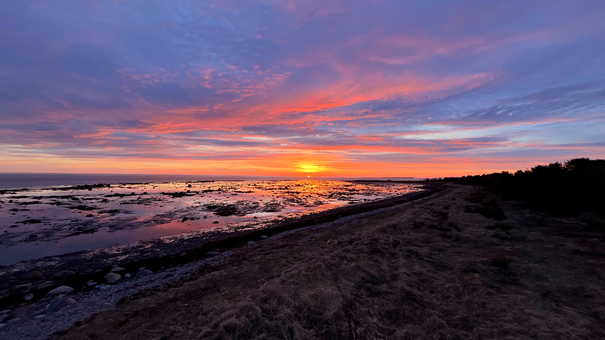 Онежский полуостров. Белое море. Колыбель янтарного заката. Краски русского севера (без фильтров и обраотки - просто телефонное фото)