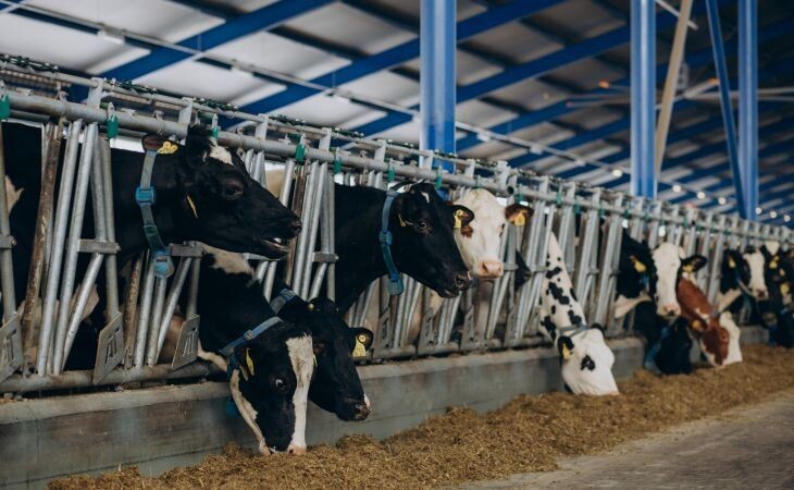 Фото:. freepik.com