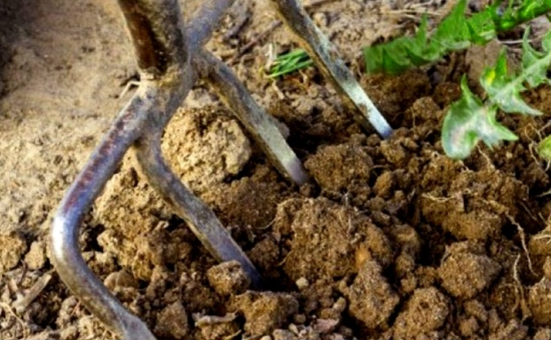 Для перекопки лучше брать вилы.