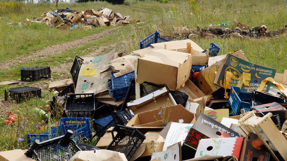 Фото: Андрей Репин / Коммерсантъ