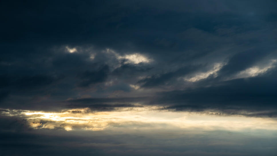 Фото: Олег Харсеев / Коммерсантъ