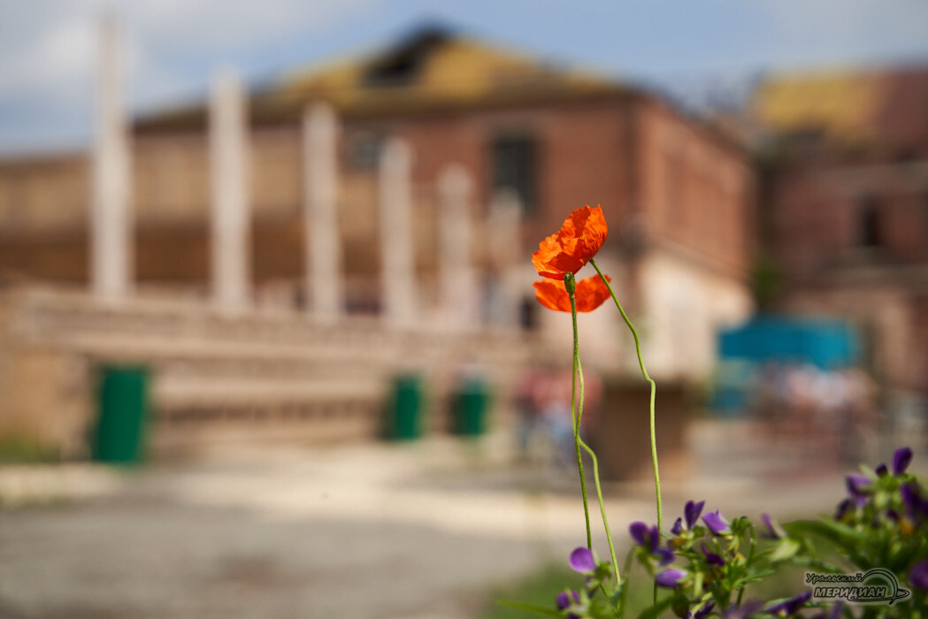    Фото: Лидия Аникина © ИА «Уральский меридиан»