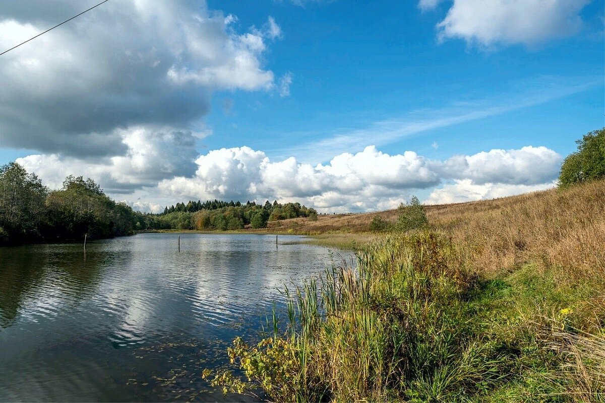 Иногда выбираемся всей семьей на рыбалку, жарим шашлыки и наслаждаемся временем вместе на берегу реки Здеришка