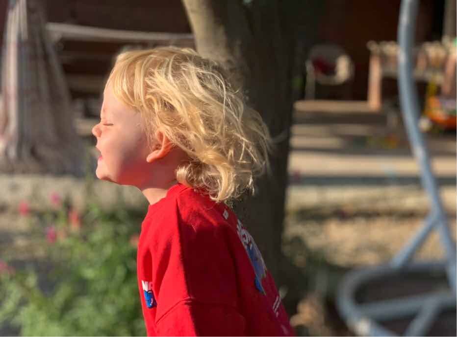 Лето со скоростью Тео. Фото автора канала