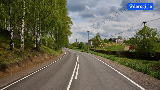 Фото: Dorogi_lo/telegram