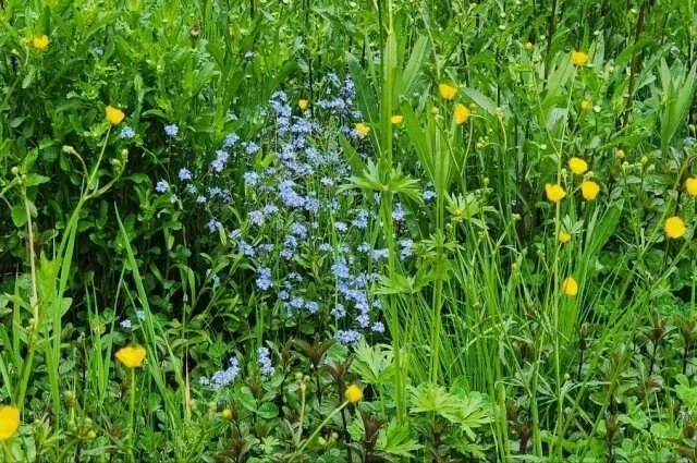    Какая погода будет в Воронежской области на праздничных выходных?