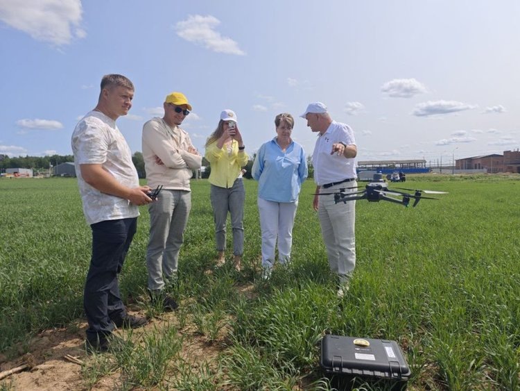    Искусственный интеллект уже начал следить за сорняками в Калужской области