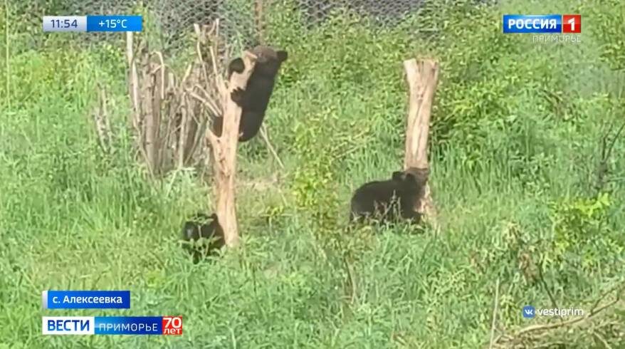    Источник фото: