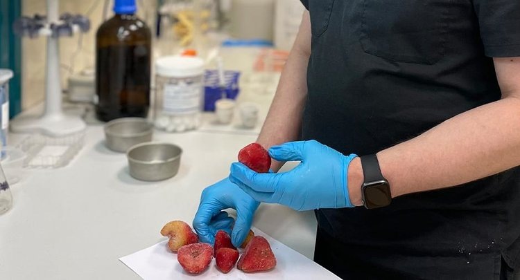   Импортная клубника быстрой заморозки оказалась с плесенью