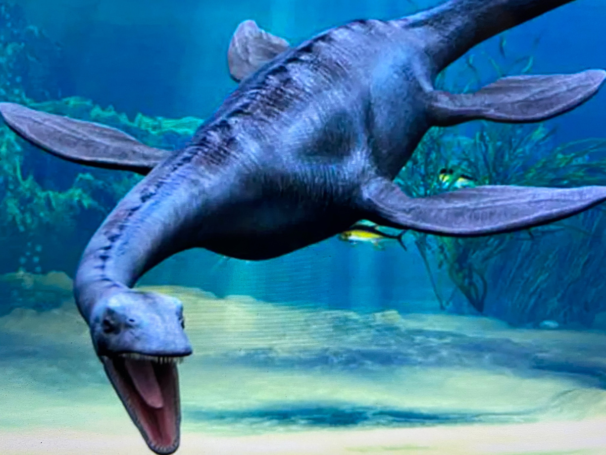 Плезиозавр (версия)