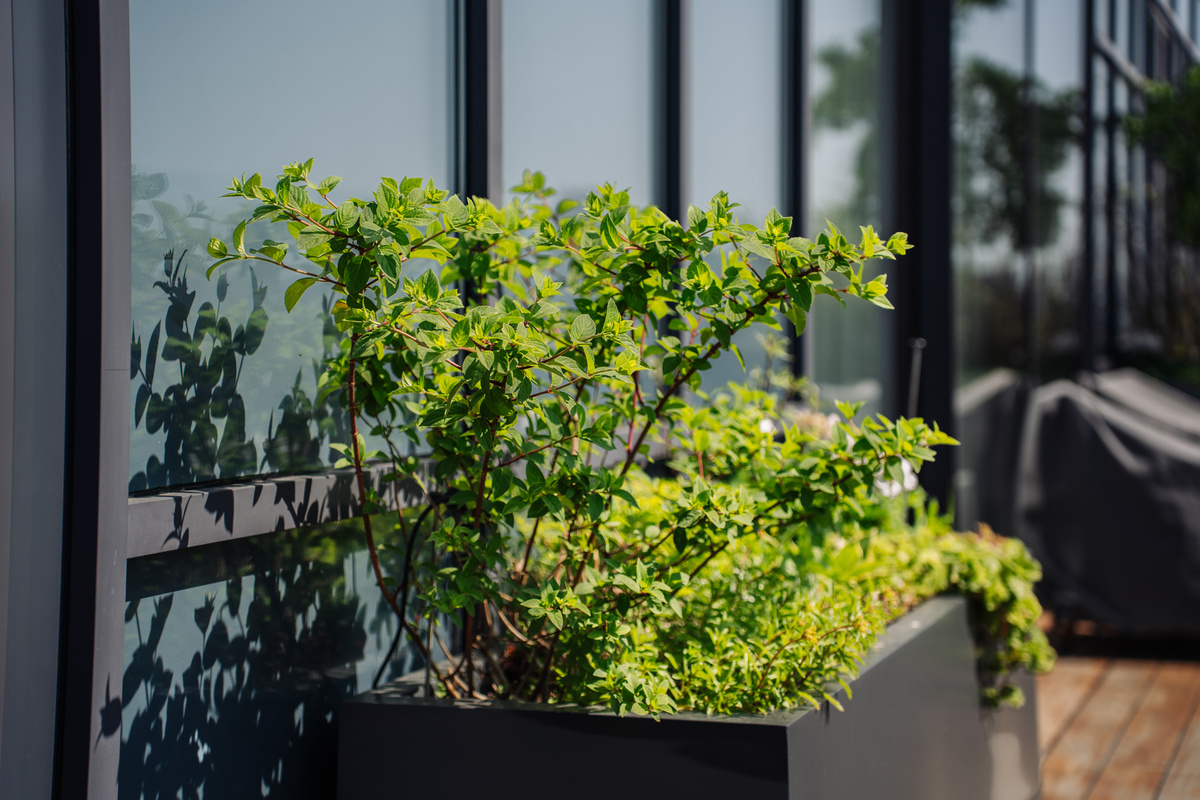 Выполнено декораторами Me Decor