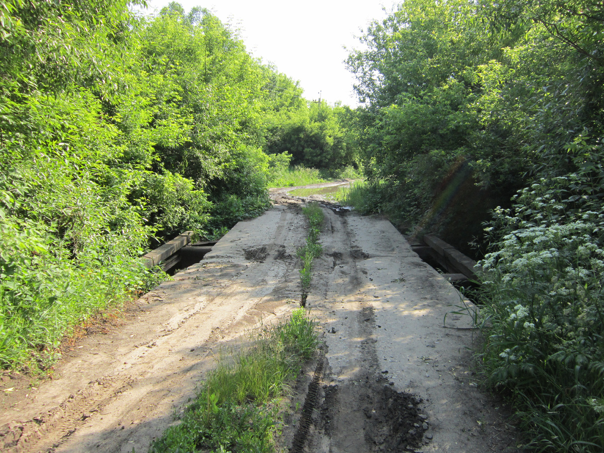 Фото автора.