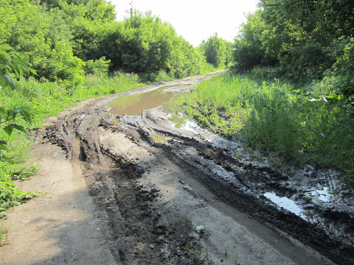 Фото автора.