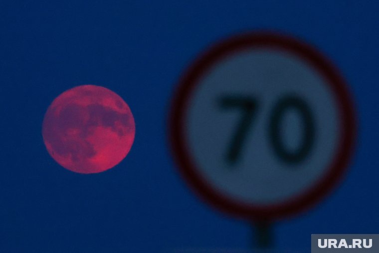 Индейские племена называли луну Клубничной в честь сбора урожая этой ягоды. Фото: Александр Рюмин/ТАСС