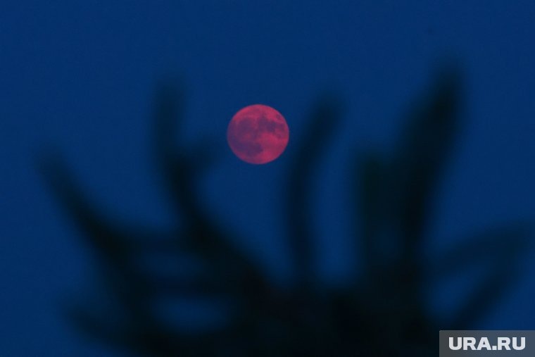 Полная фаза луны в июне 2025 года станет самым низким полнолунием в Северном полушарии. Фото: Александр Рюмин/ТАСС