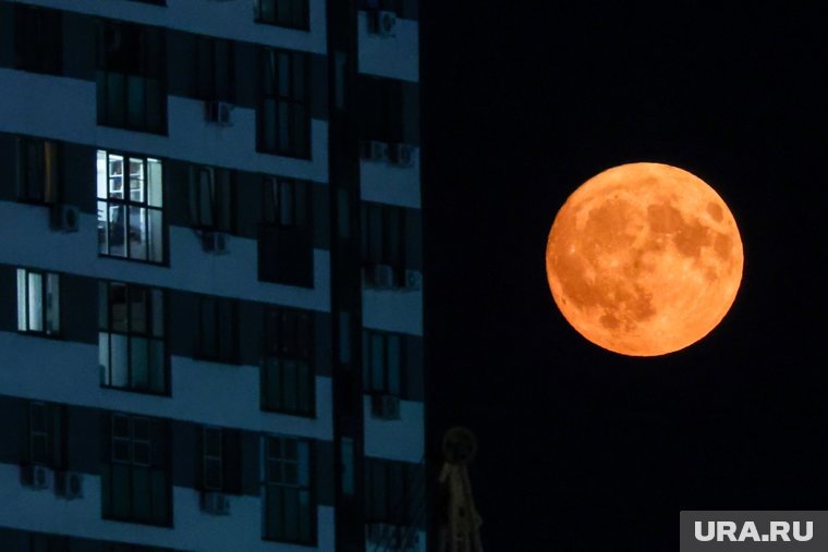 В следующий раз Клубничную Луну можно будет увидеть в 2043 году. Фото: Александр Рюмин/ТАСС