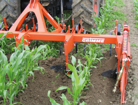 Окучивание кукурузы с помощью технологии картофельных грядок