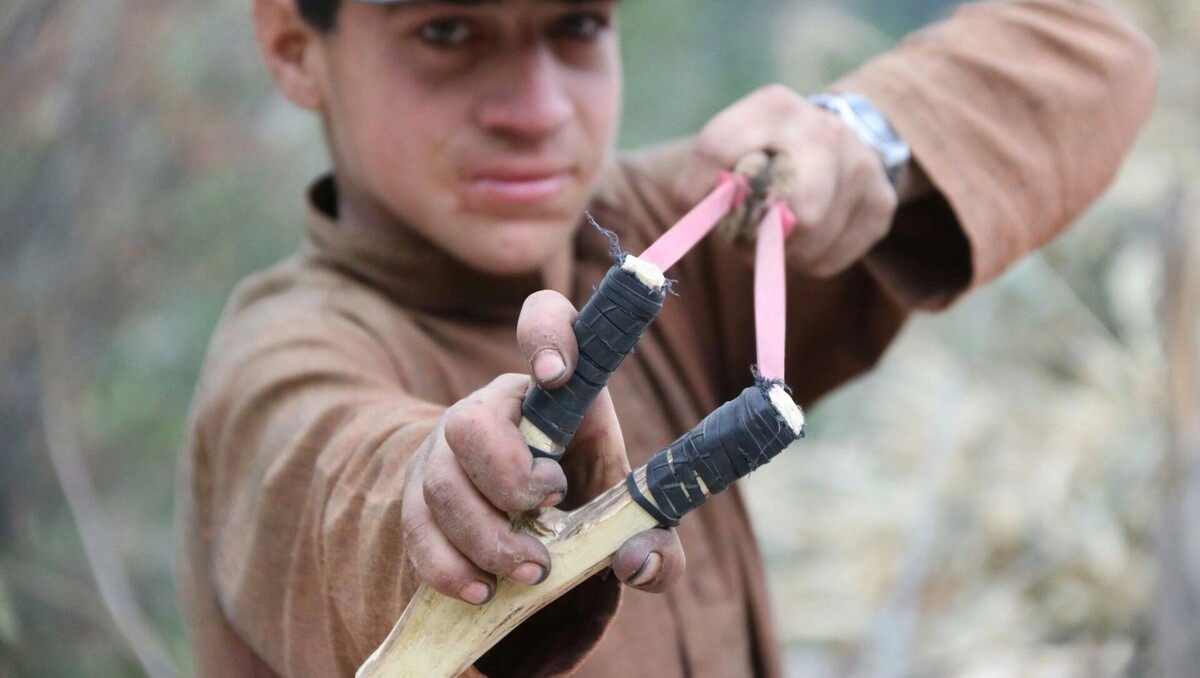     Автор: Unsplash