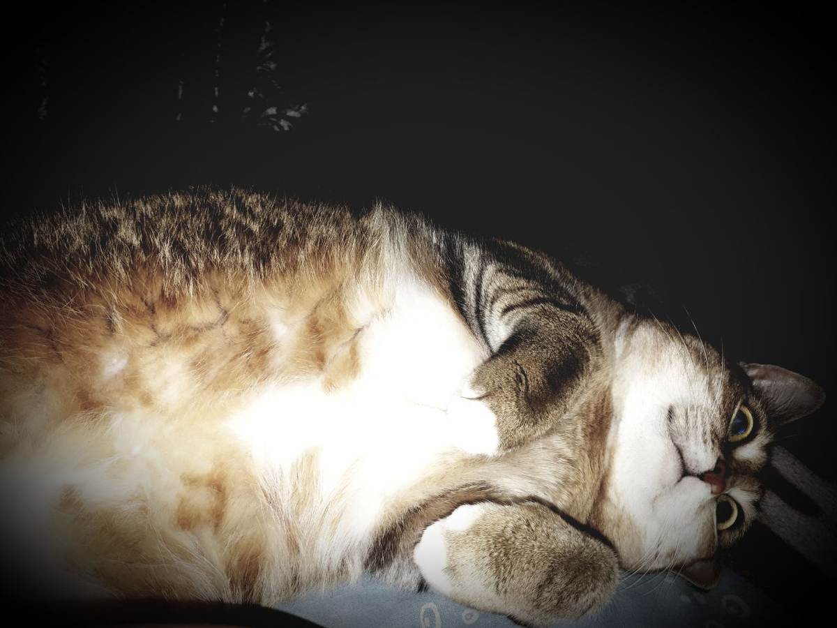 фото автора статьи