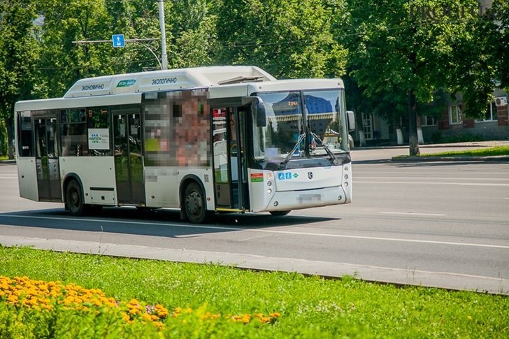    Фото: Пруфы