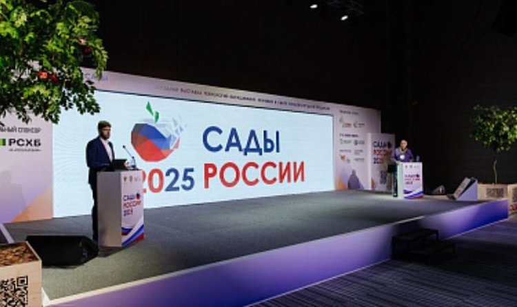   Питомниководство плодово-ягодных культур в России демонстрирует успехи