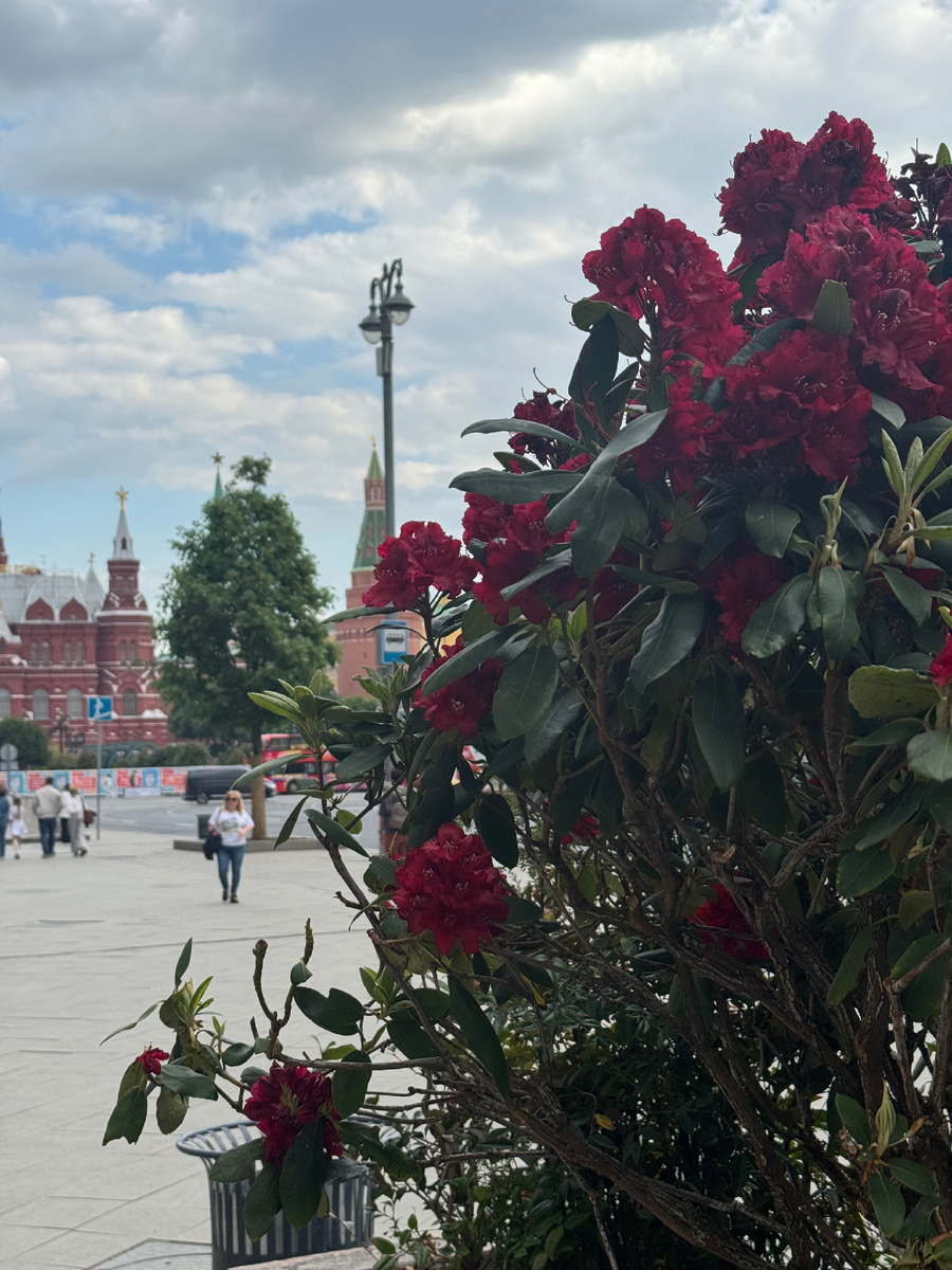 Москва. Вид на Кремль с Тверской 