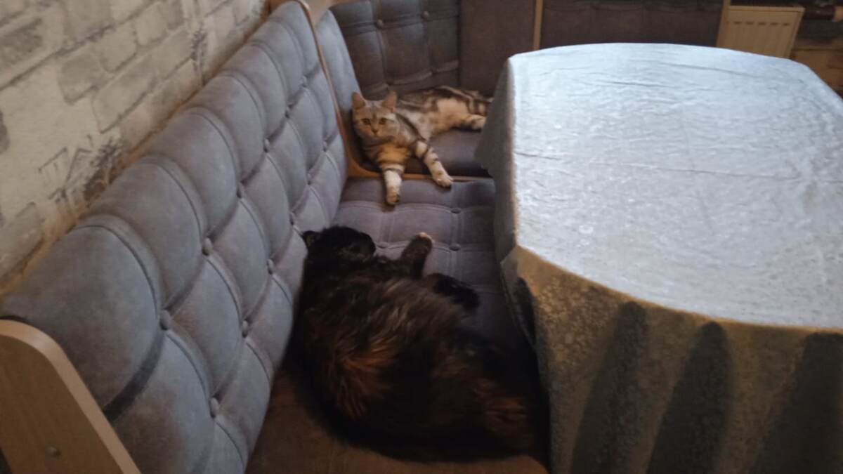 Набисились поспали и снова бесится😂😂