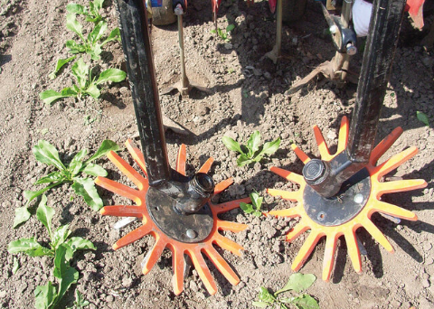  Ручные мотыги для борьбы с сорняками между рядами растений