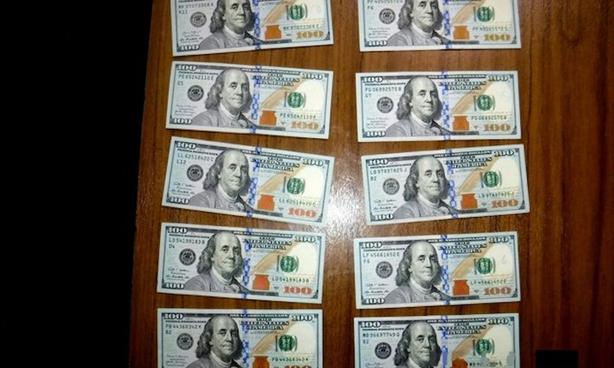    Фото пресс-службы Новороссийской таможни