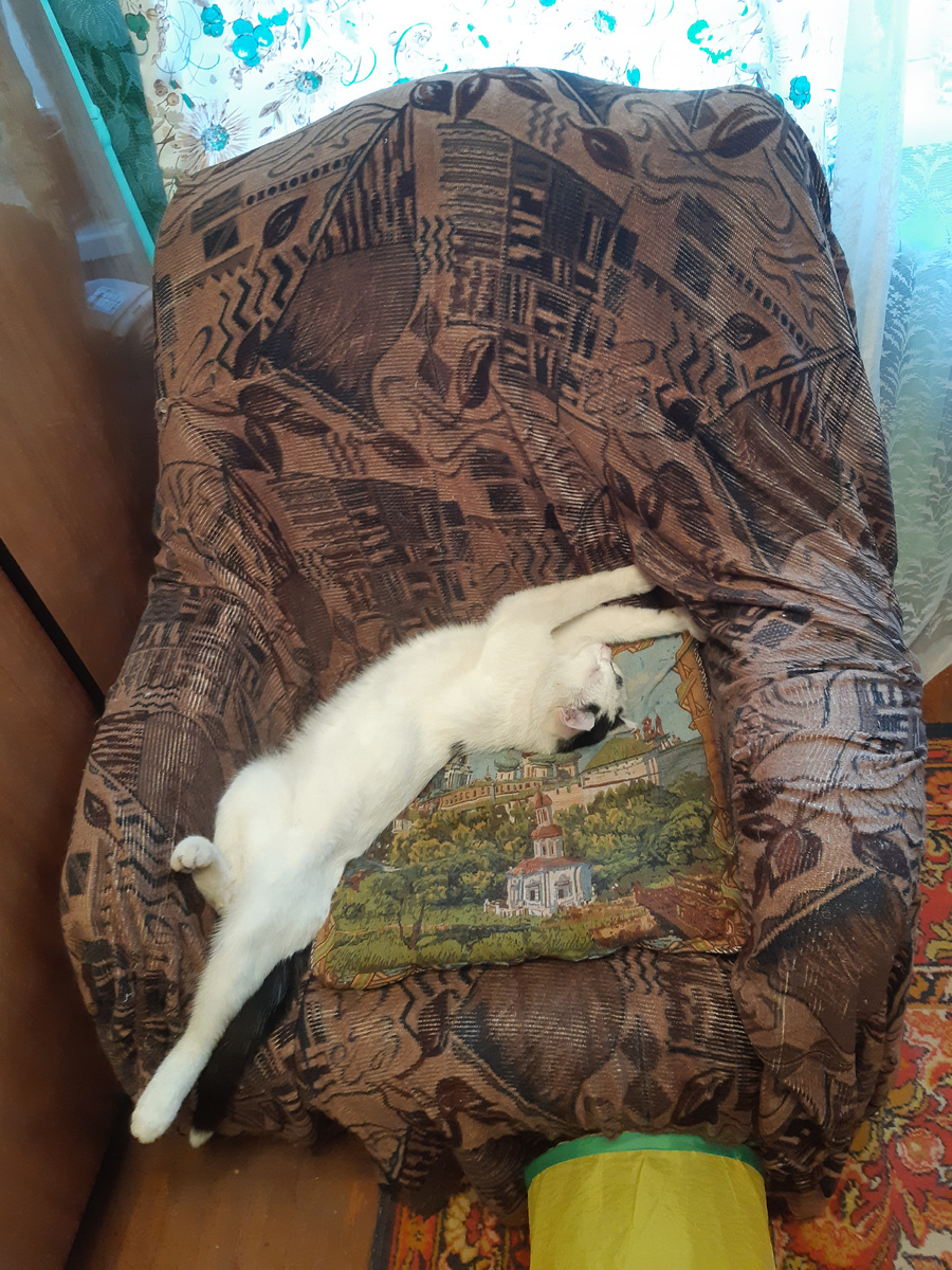 Едьте спокойно на свою дачу-комарячу, за домом присмотрю.Йосю можете с собой взять.