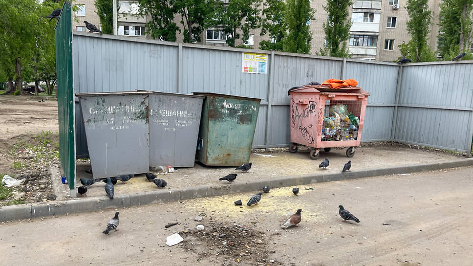 Фото: Игорь Елисеев / Коммерсантъ