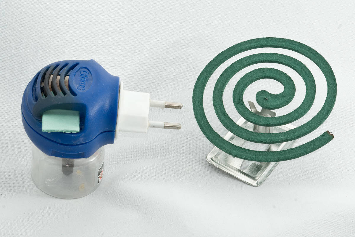 Фото Wikimedia Commons/George Shuklin