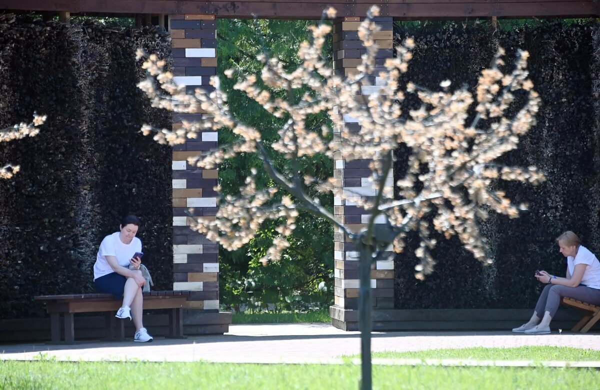 Соляная градирня в санатории "Приозерный" в Минской области. Градирня представляет собой конструкцию из веток хвойных деревьев, на которую подается соляной раствор. Раствор стекает по ветвям, интенсивно испаряется, насыщая воздух йодом, бромом, магнием, натрием, калием, железом и другими микроэлементами. Таким образом, микроклимат в градирне близок к условиям морских побережий © Sputnik / Владимир Федоренко