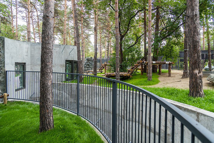    Фото Андрея Заржецкого