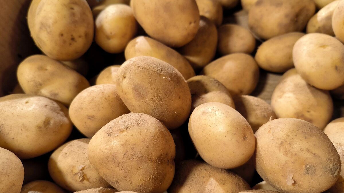 Фото: Maksim Konstantinov/globallookpress.com