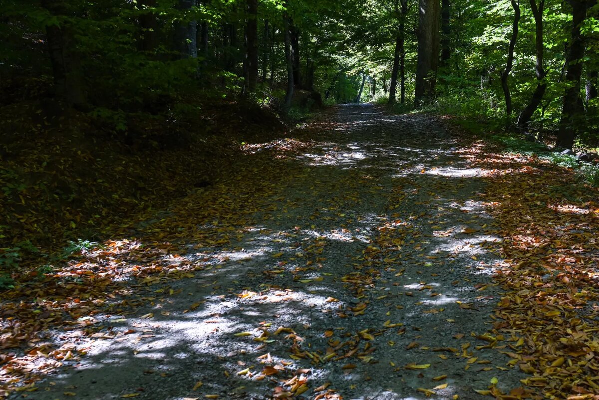 © Sputnik / Asatur Yesayants