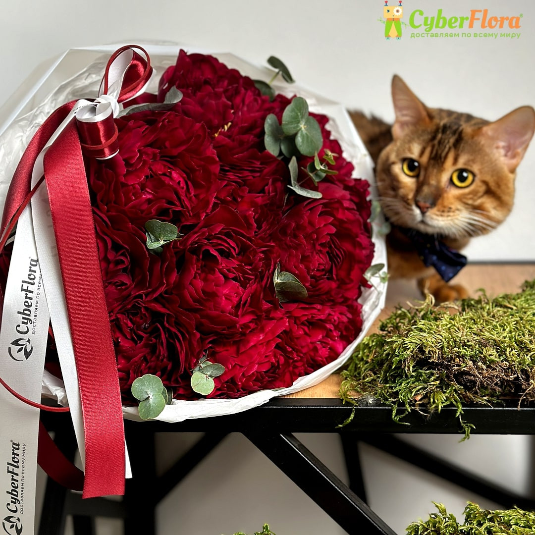 В съемках принимают участие наши любимые питомцы.