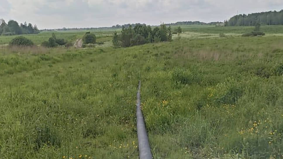 Фото: Пресс-служба Правительства Ленинградской области