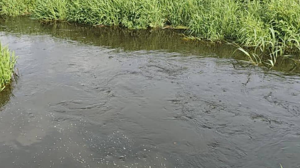 Фото: Пресс-служба Правительства Ленинградской области