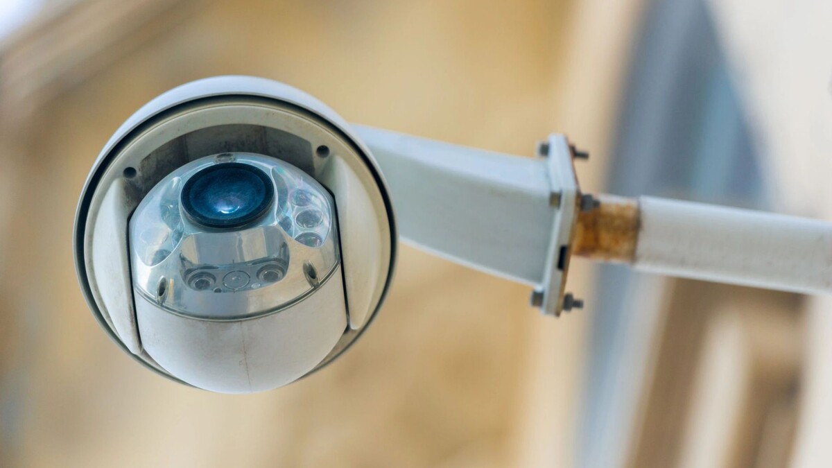    Фото: kosmos111/Shutterstock/Fotodom