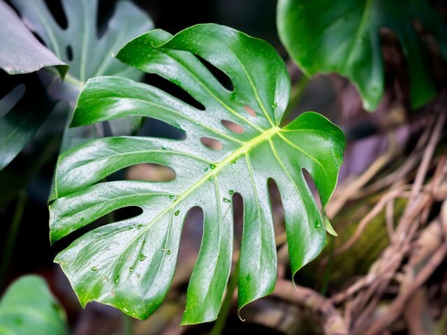    Фото: 123RF/svetlanais