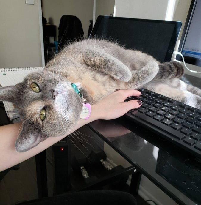 Фото из сети интернет