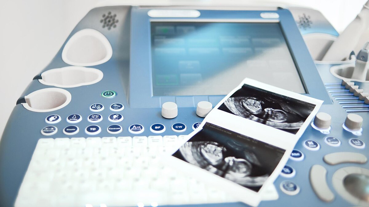    Фото: freepik.com/serhii_bobyk