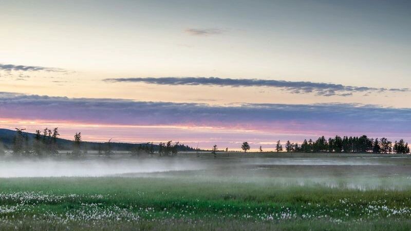    Фото: Юлия Чудинова / «Ямал-Медиа»