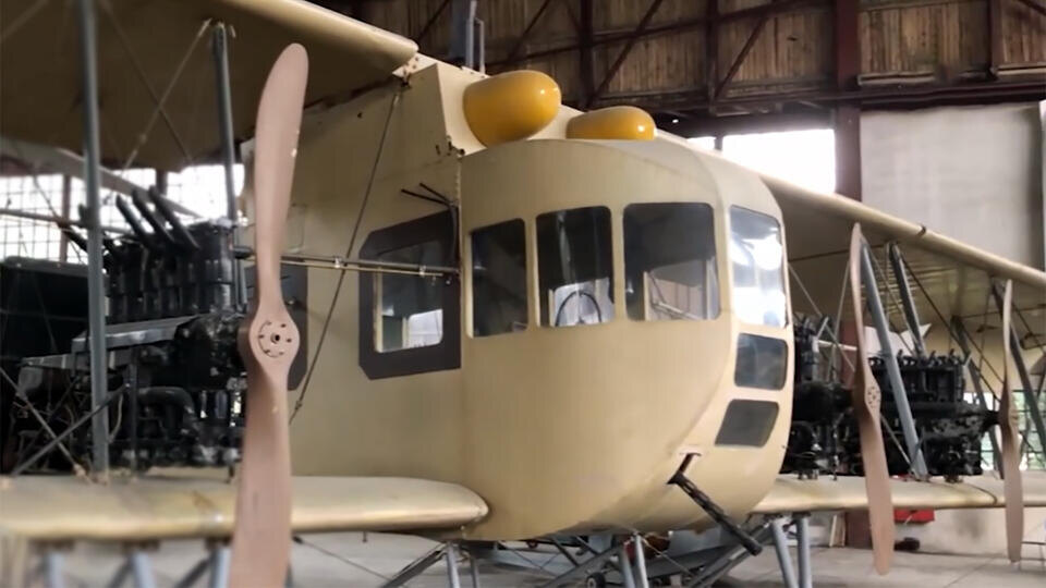 Фото: © Кадр из программы "Как устроен мир", РЕН ТВ