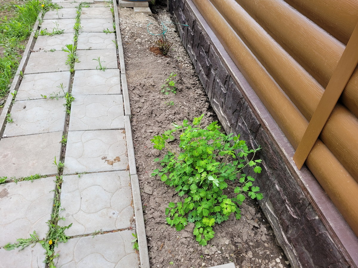 Полутеневая сторона