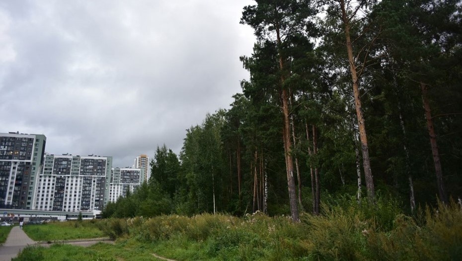    Автор фото: t.me/bondarenkospb